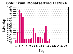 GSNE: kum. Monatsertrag 11/2024